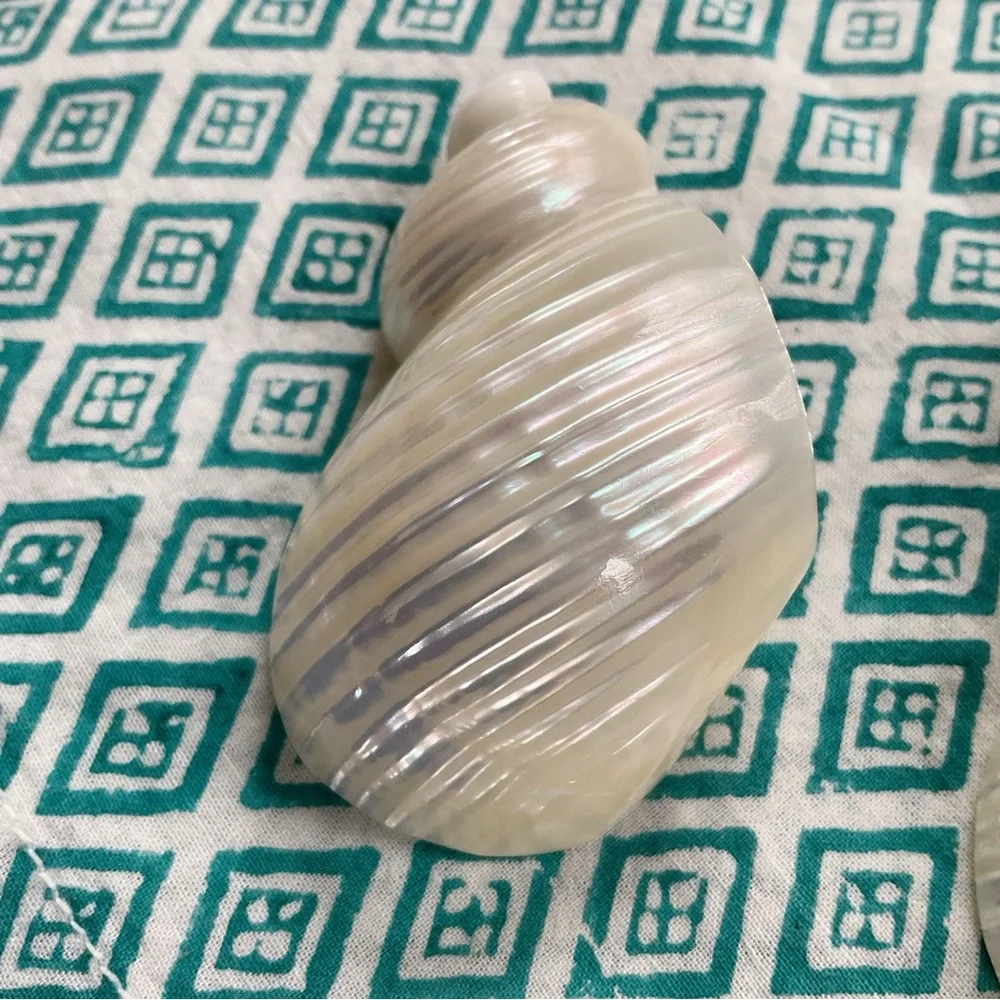 Vintage Shell Napkin Rings Set of 4 Coastal Beach Decor 1970s Seashell